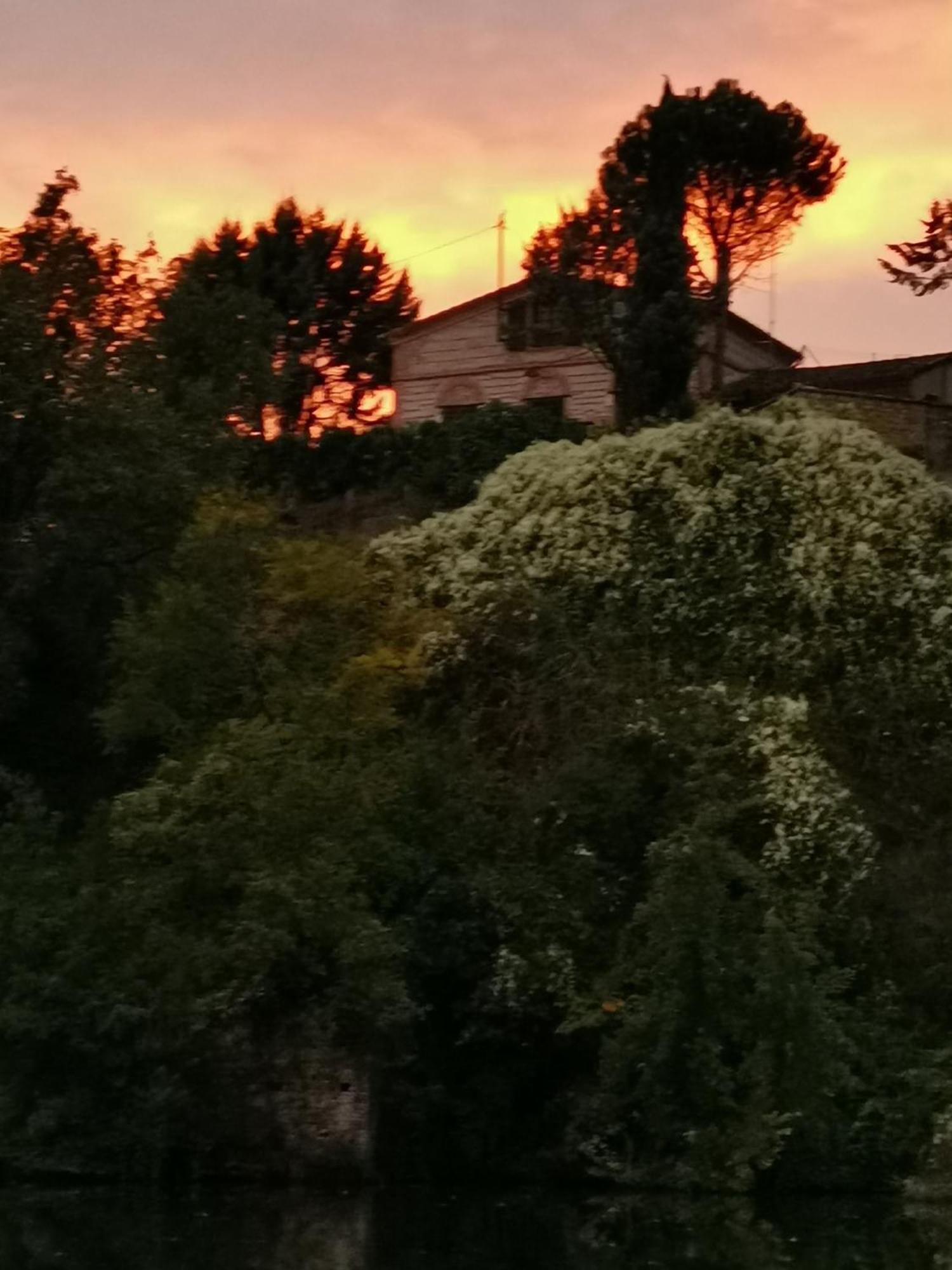 La Planque De L'Eclusier Villa Castelnau-de-Levis ภายนอก รูปภาพ