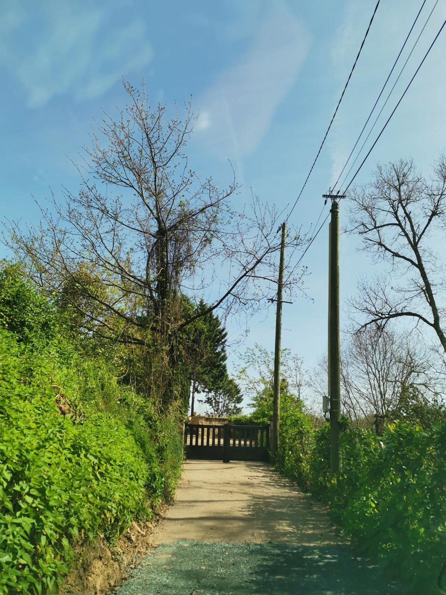 La Planque De L'Eclusier Villa Castelnau-de-Levis ภายนอก รูปภาพ